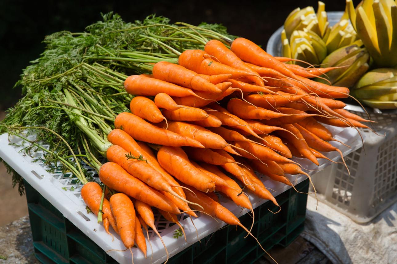 Carrot