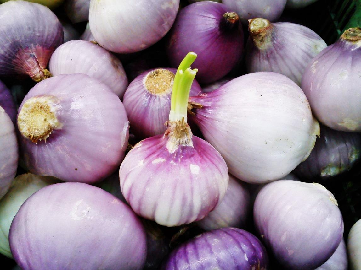 Onion