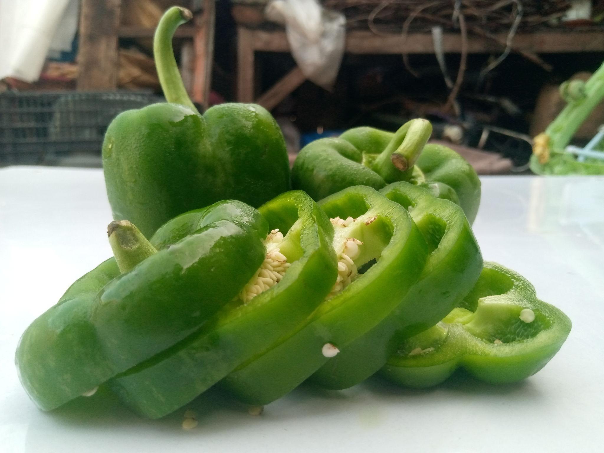 Capcicum