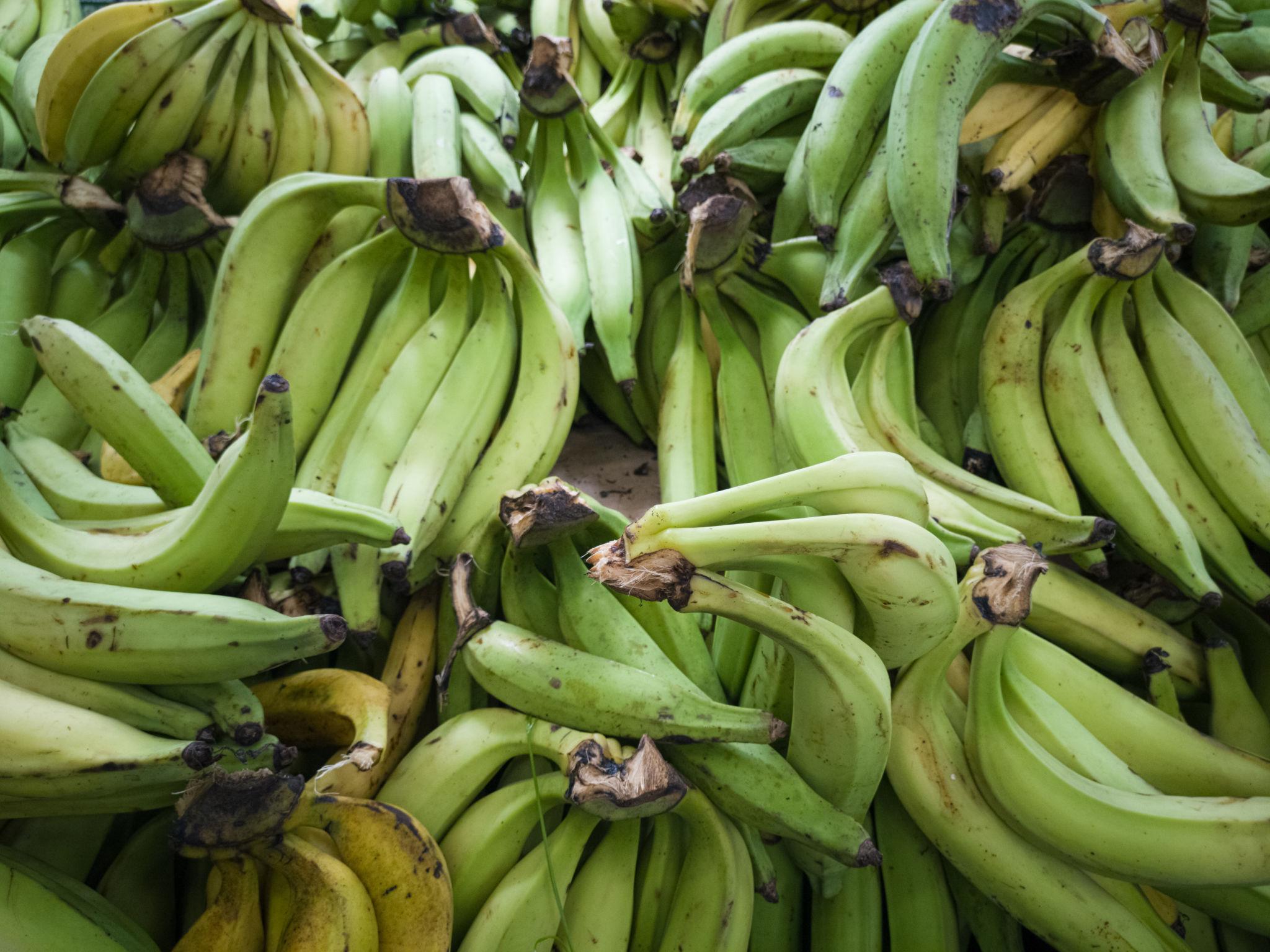 Banana