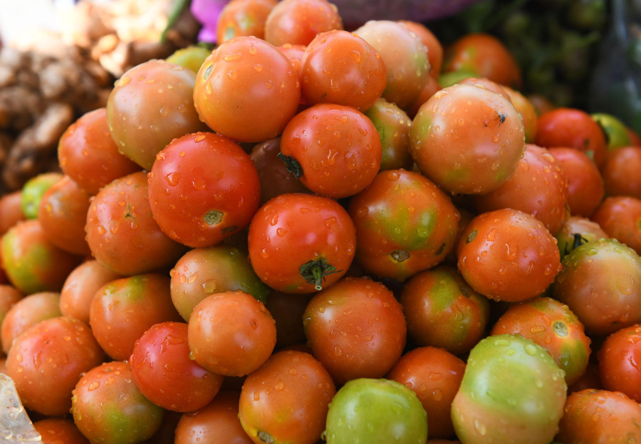 Tomatos